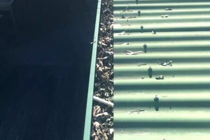 Screenshot_2019-07-17 Home Prestige Gutter Roof Cleaning Gold Coast(1)